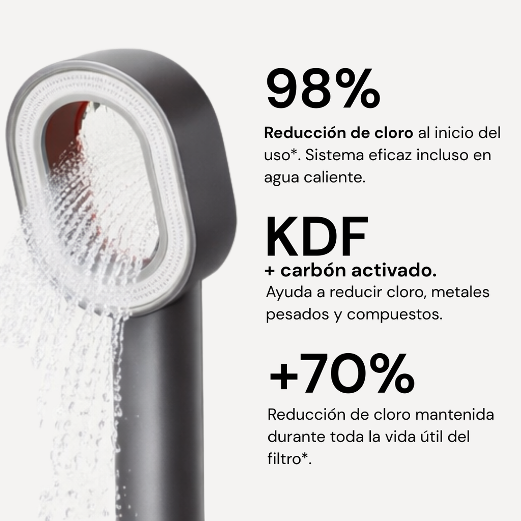 Shower head with purifying filter