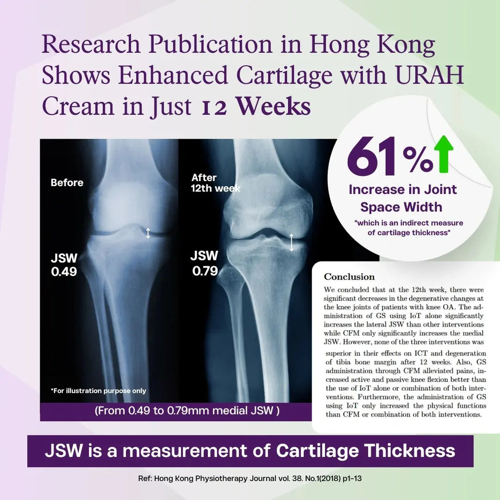 [Triple Pack: 9-Month Supply] Joint Health Omega-3 Micellar Cream