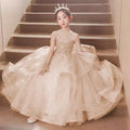 Pink Children Girls Birthday Princess Dress Flower Girl Wedding Gown Piano Performance Host Pageant Formal Celebration Clothes