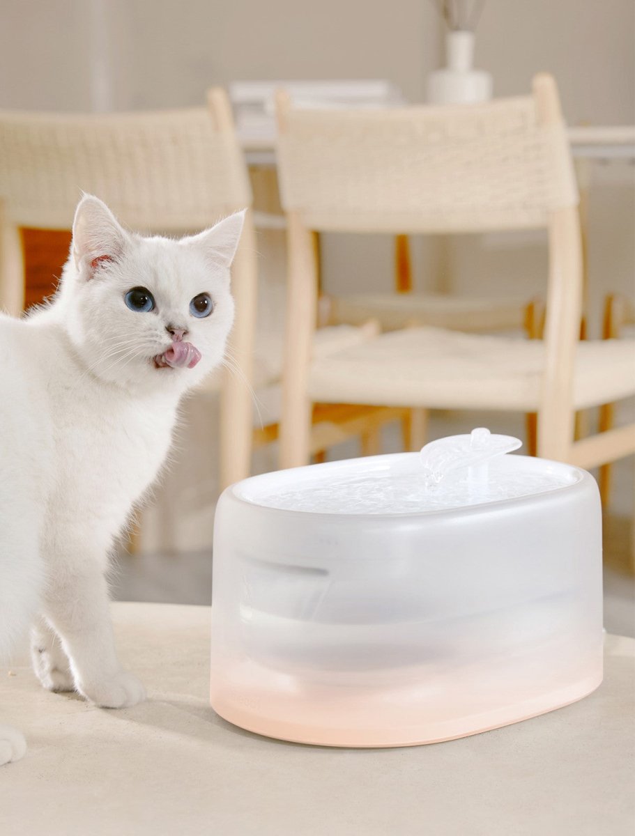 Smart UVC Sterilizing Heated Cat Water Fountain